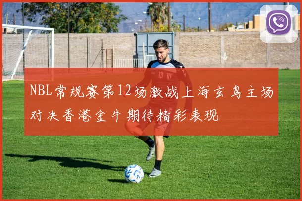 NBL常规赛第12场激战上海玄鸟主场对决香港金牛期待精彩表现